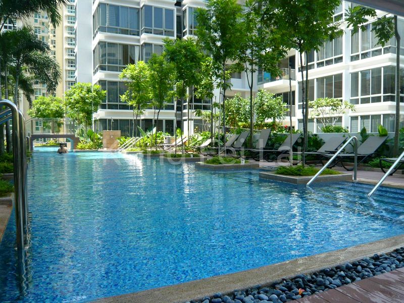 3 Bed Condo for Rent in  Versilia On Haig - Image 12